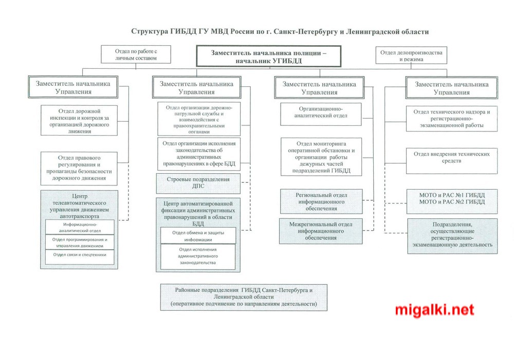 Схема мвд рф со всеми подразделениями